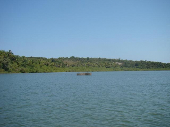 Island near the Peninsula Camamu