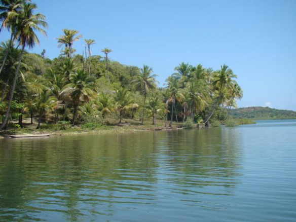 Amazing island in the Bay of Camamu