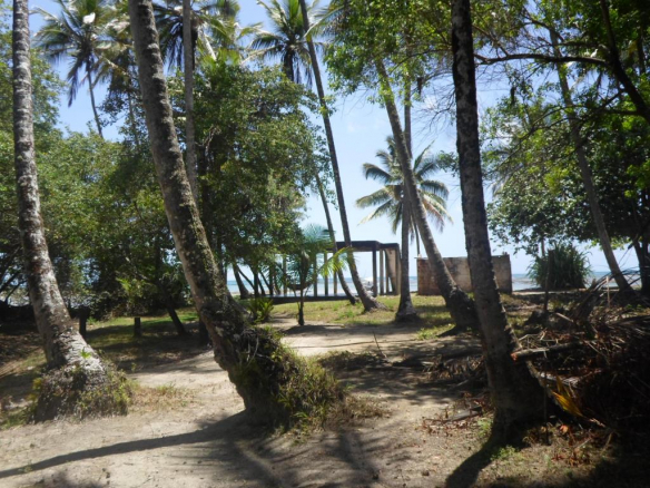 Large Plot Beira Mar