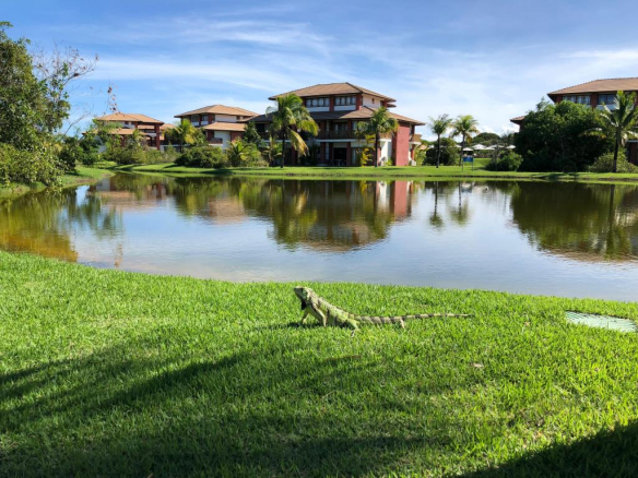 High Standard Apartment in Condominium