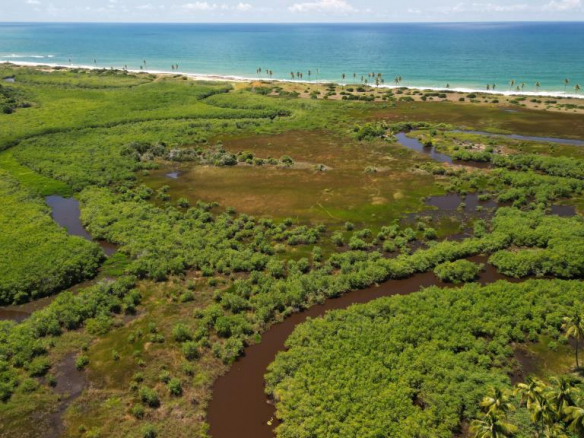 51 Hectare Beachfront Area