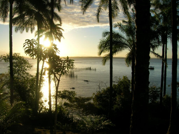 8000M Area With Sea Front Villa