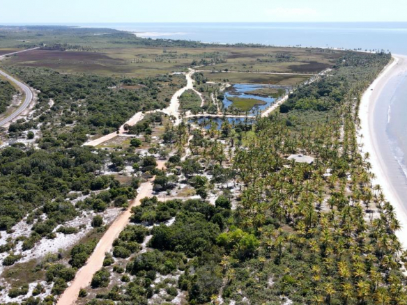 Exclusive Beach Area