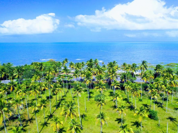 Noble Area on the North Shore of Porto