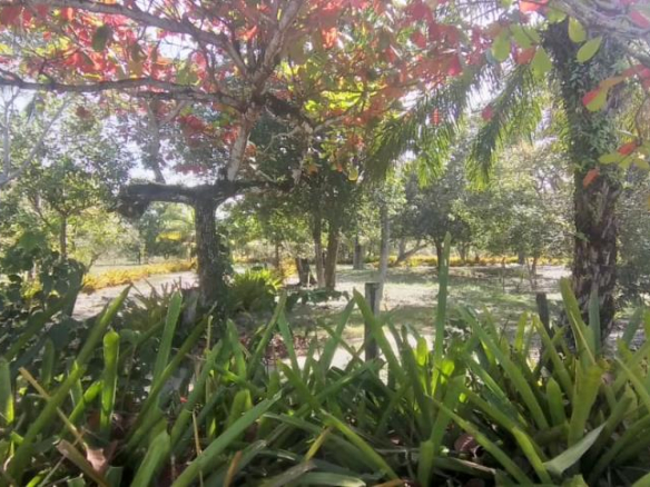 Area for Incorporation in Ba