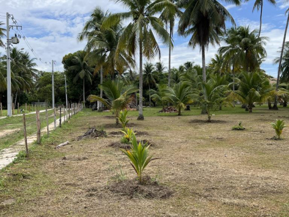 Excellent Area On Fourth Beach