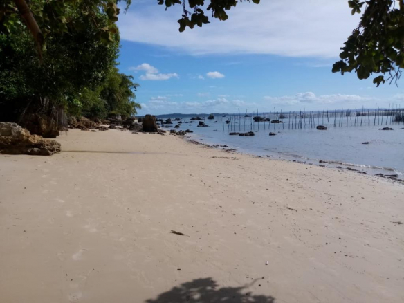 Excellent Ocean Front Land