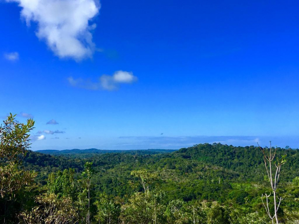 Excellent Sea View Land in Serra Grande