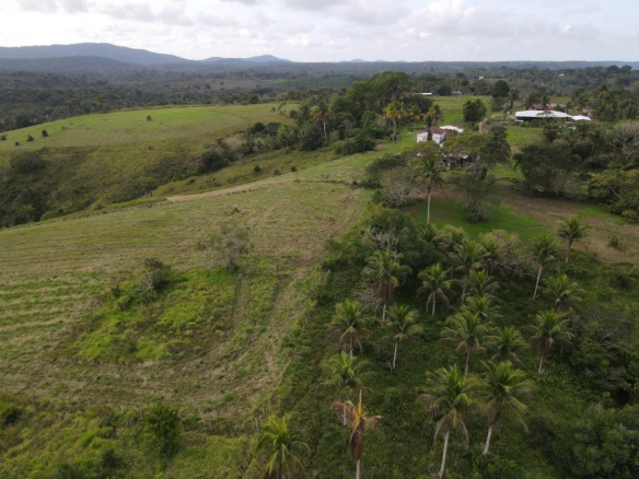 Farm with 45 hectares in Serra Grande
