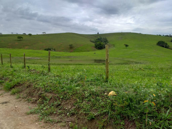 Mixed Crop Farm 10 Ha