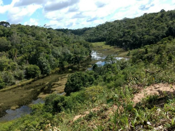 Mixed Crop Farm 422755 Ha