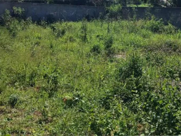 Lot 995M2 Half Price