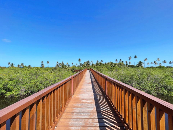 Exclusive Lot With The Best Location