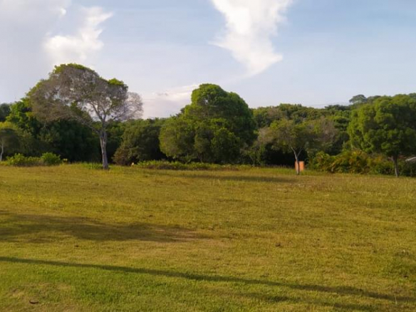 Lot/Land in Terra Vista