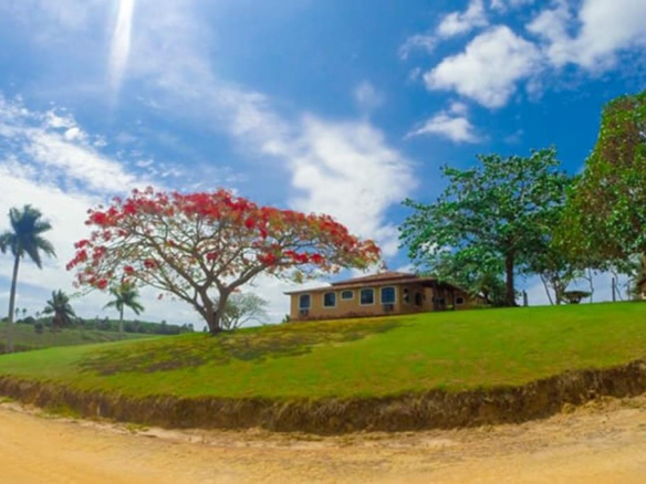Mega Farm Cocoa Livestock and Rubber Plant