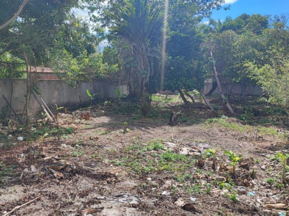 Plot In Arraial D Ajuda