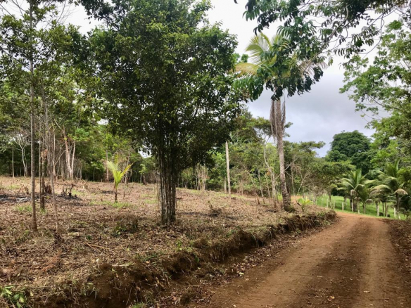 Opportunity! Lots: 1000M² - Easy Payment.