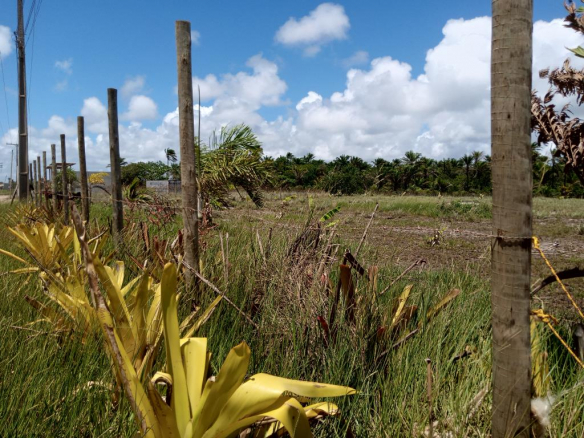 Opportunity! 500m² Plots in Barra Grande