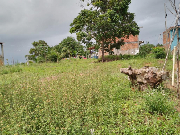 Opportunity! Flat Land of 421M²