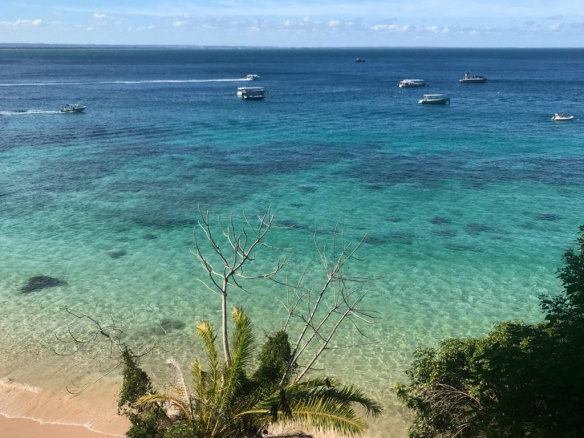 Unique opportunity! Area with 5000M²