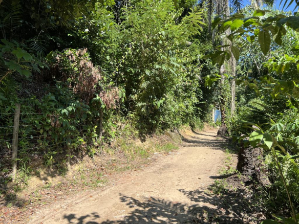 Great Land in Lagoa Neighborhood