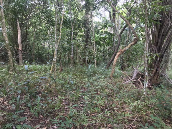 Great Land Near Boca Da Barra