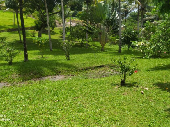 Site with a view and privileged location