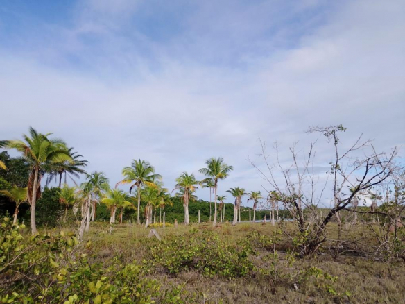 Site Near Barra De Serinhaém