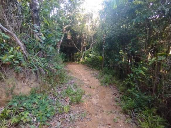 Land 209m² in Jardim Botânico