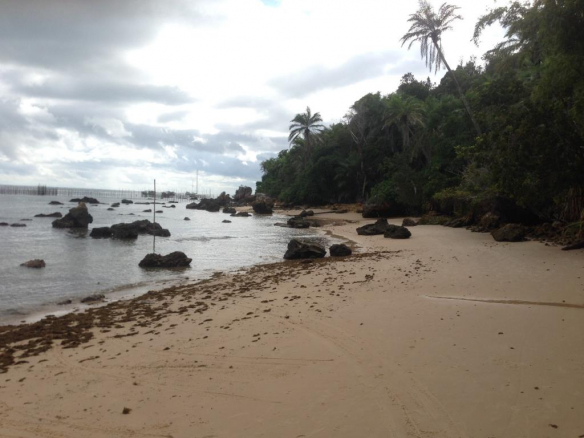 Large Land With Sea View