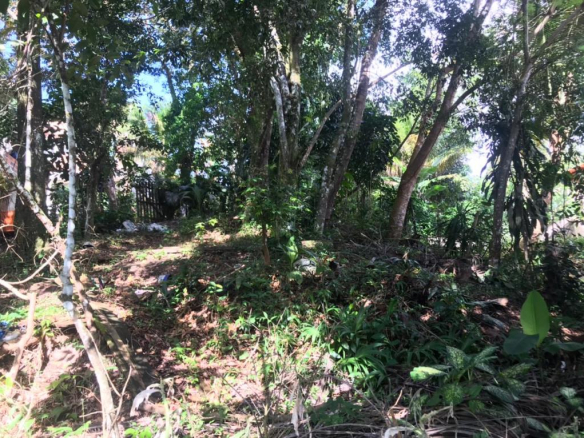 Land of 500m² in Alto da Lagoa