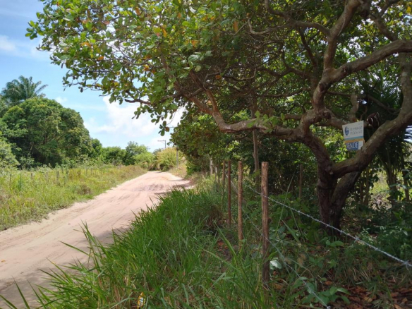 Land with 750m² in the village of Campinho