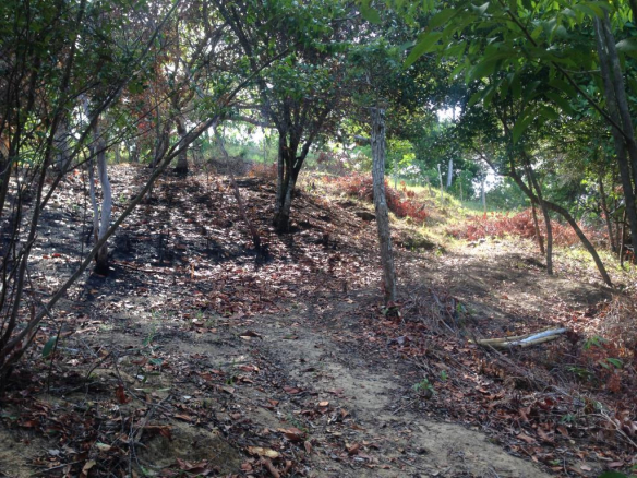 Land With Great Location