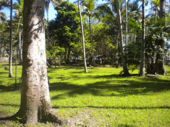 Plot In Gated Community Foot In Sand On Guaiú Beac