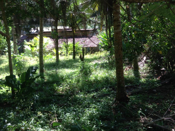 Land Next To The Beach