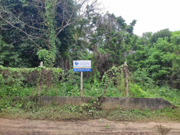 Land Leaving for Moreré