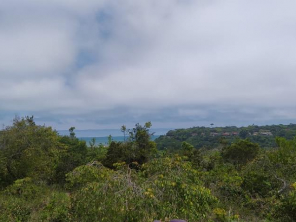 Land View to the Sea