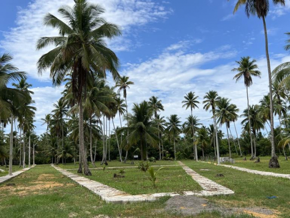 Land in Quarta Praia 300m from the sea