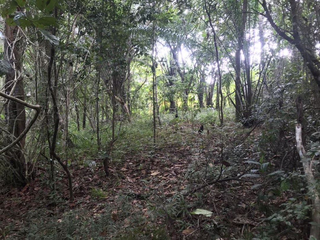 0LBnqG9lzgEePt6prflYKva9IB4VFpf5tsKgpux-gv6mlc38BhBQqgFOMHCj7mKx4-VOU-KWn5LgGHf8ECM__ngROV2zdCRJR1l5g96l3EB-RQ=w1080-h1920