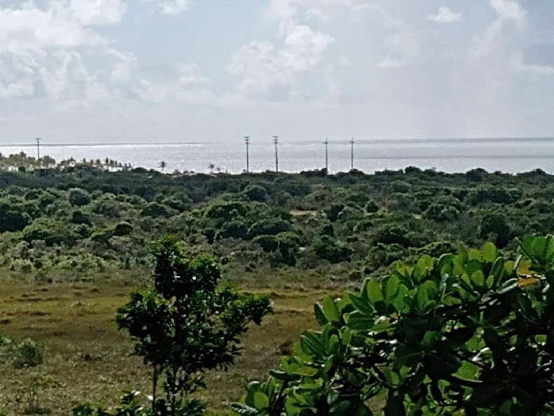 0kfWev8W6m-sGOFl6bH3J9h88rj5qbfr-bZJegvaTDY8Y4S-iVUDepg29_wId2upzyzm8SkjBvqLskOkL54b77gn_qLm00YwR0Dc4BNf2H9P-KE=w1080-h1920