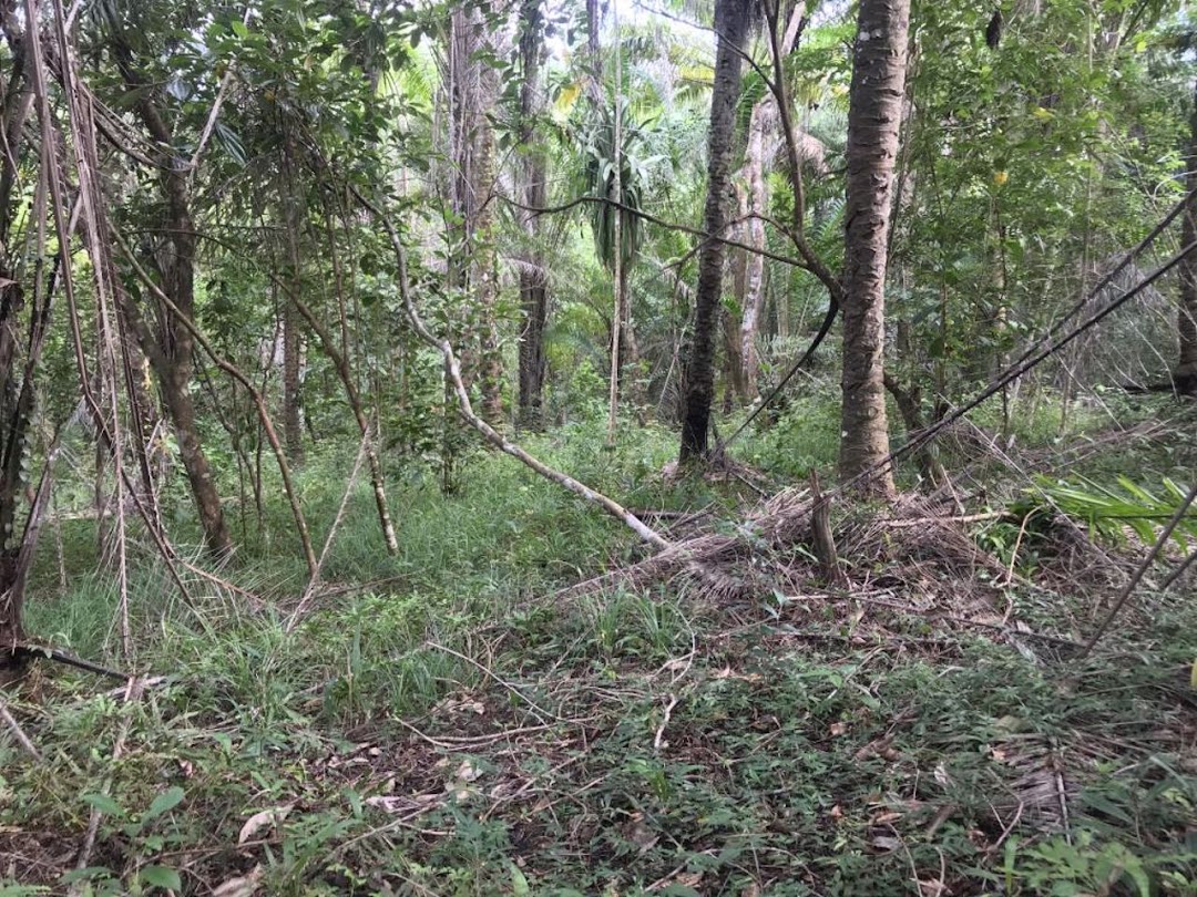 1C7SzoDFfpuCaK_fLft8gPOsQDwGAE5BhnvWSC_4QyehroF99ZOK-9eGZO_ZfnT7YKkGieoTCcZw47UZyiiOH975CxwCOrQhOFUs7Qj0HgBz-w=w1080-h1920