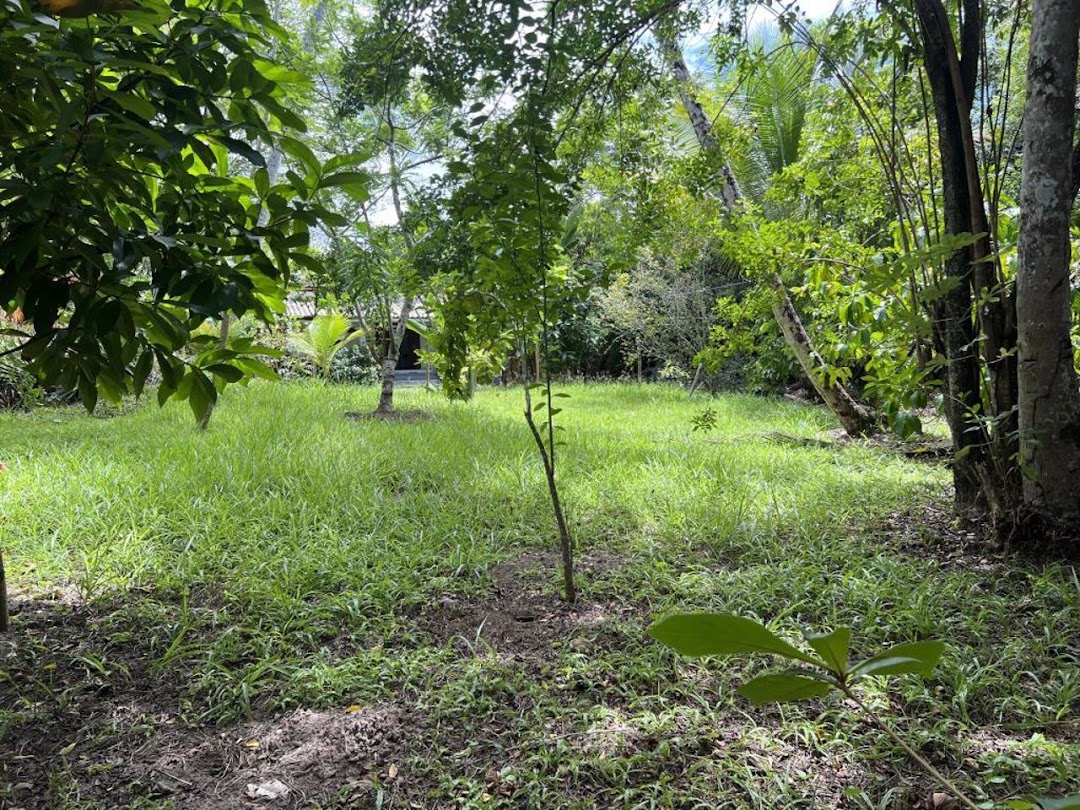 2FeWsCGKedBssw5TxqDe7V9gXXJJ4KBG1IDh-WzOW0lOvxD1bHLVd7gjTdcJidq9fCqI_AwdThJaYAuCy9JOBZiGI50OCJN24WPDBLTCuX_LRik=w1080-h1920