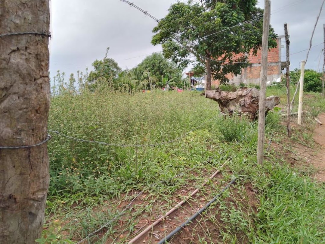 2KaYfhHORSNDqbA8Gzibr8sTkagrBrDZlkJNSATX-gVu0OO5nR6VjDCLxtYfrjYjk7yDHqgScAIeEFIQocif6w5LjoxwbBsbAH418q4B40vTVfw=w1080-h1920