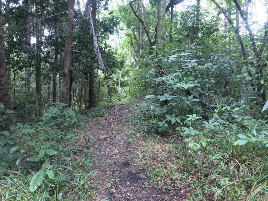 2RvaGs9VtjbETwnI4yNMnpNm551cQDeda7SmMm9Z1M5R0E_6nIeBtktXcIuraacZy8jKOnJdmQawEkMlKT1XsxHAmyJzV4oD2olQTsnJi04sIVxS=w1080-h1920