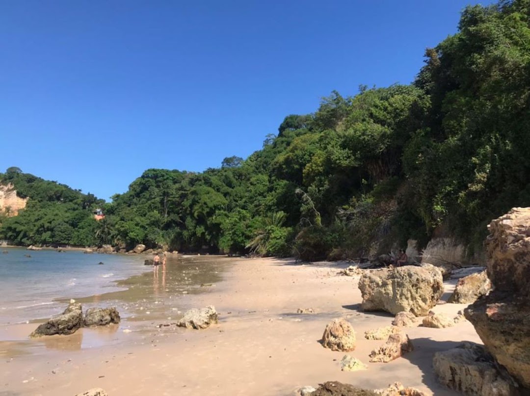 4xK1EGNuj_zpqxgt317dcK0TWPUE8HsKFmyOr9w8RU8ofrW564w12wLUl0O3J3Q3qwyb-cDmW3Q0eF6GRFRUbGXY2flReGU9MY4VQcwPsmCVww=w1080-h1920