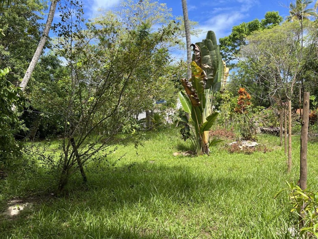 51R4LTKYnnbA3cAckiS2UmD4VpRWAcdneAw5_FIaaom8MQdqDvqkQJpyvQJ6E_Ep9EmM1hKXvdEqMbiWvWPoUr3V6fFN8L3opv1LviEUNHJ6aak=w1080-h1920