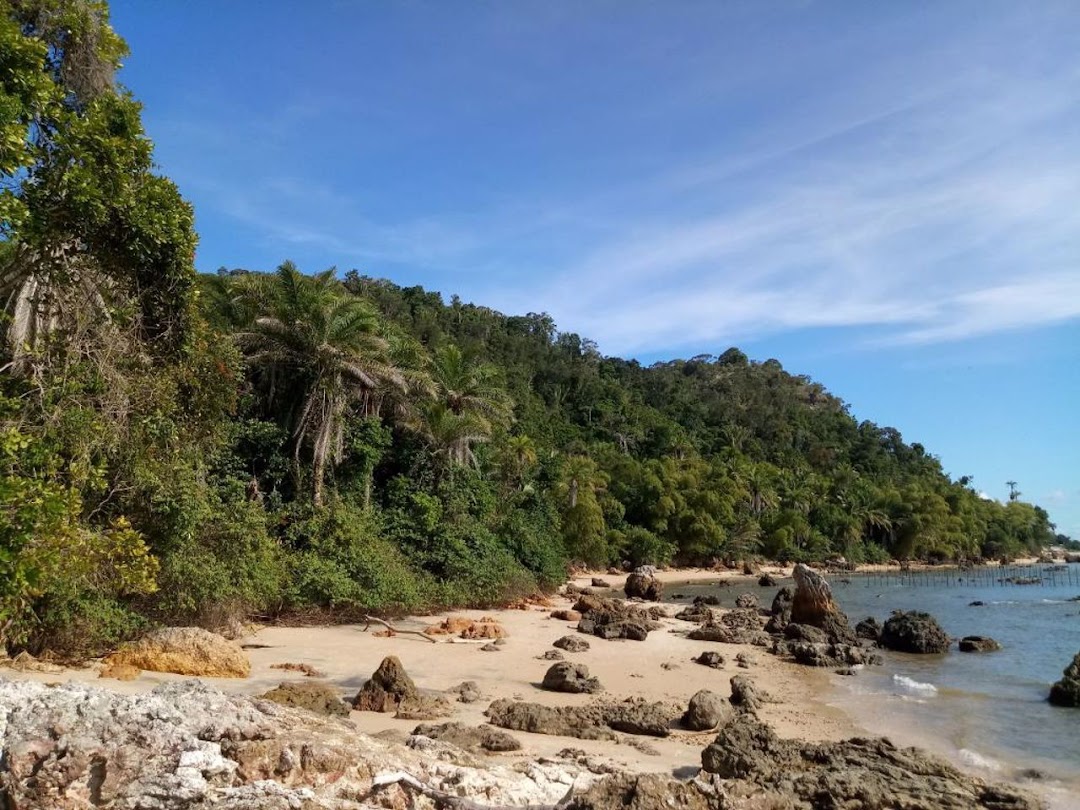 5ODugTjz7rtia1e2ymPG76-QTXWNbsLzPj4l1X0C1NsHeUURmwYO7Qro6htuLcOe1rCJpF4a5koRSMuRg0lNL3g4zZ6gYk7xqudvgz8PE20NOJM=w1080-h1920