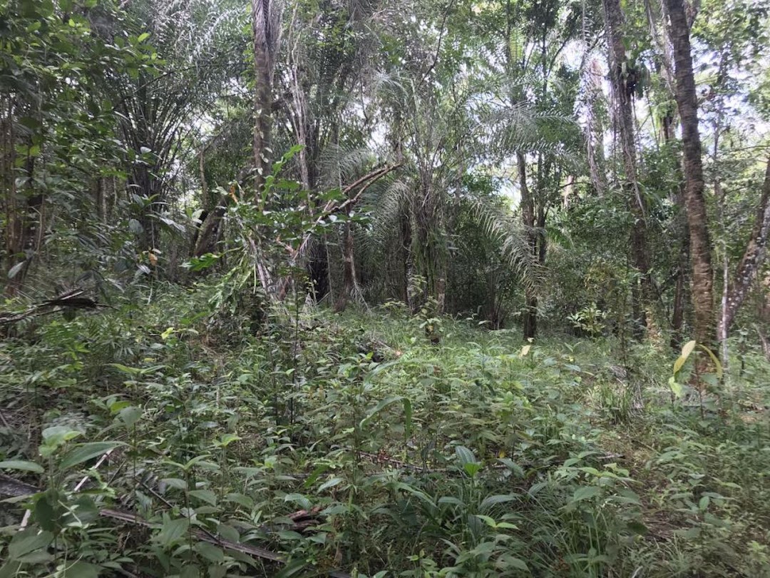 5sfhMFX54UszAC-5GdONjDEGsq6JbcyPq-f8XsDaIoN0XisTDifhRg9o0IHP2F7T8-8n9x3rsKgMEQexMvlc6gi-hy5JEpzB4yDx8bbo06rdpwk=w1080-h1920