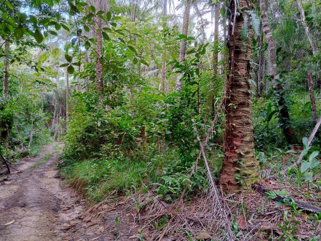 7cL2u0v5d5Xm3JAUzMz4z0MvTV0BUrKlrYqCe7Ov2njLk2jN9qUABWRDaXd2_YEDW7Pf1P4gztwOtgLWKjMTljuWi-W9taeFtfFz-1t_09-B_Cw=w1080-h1920