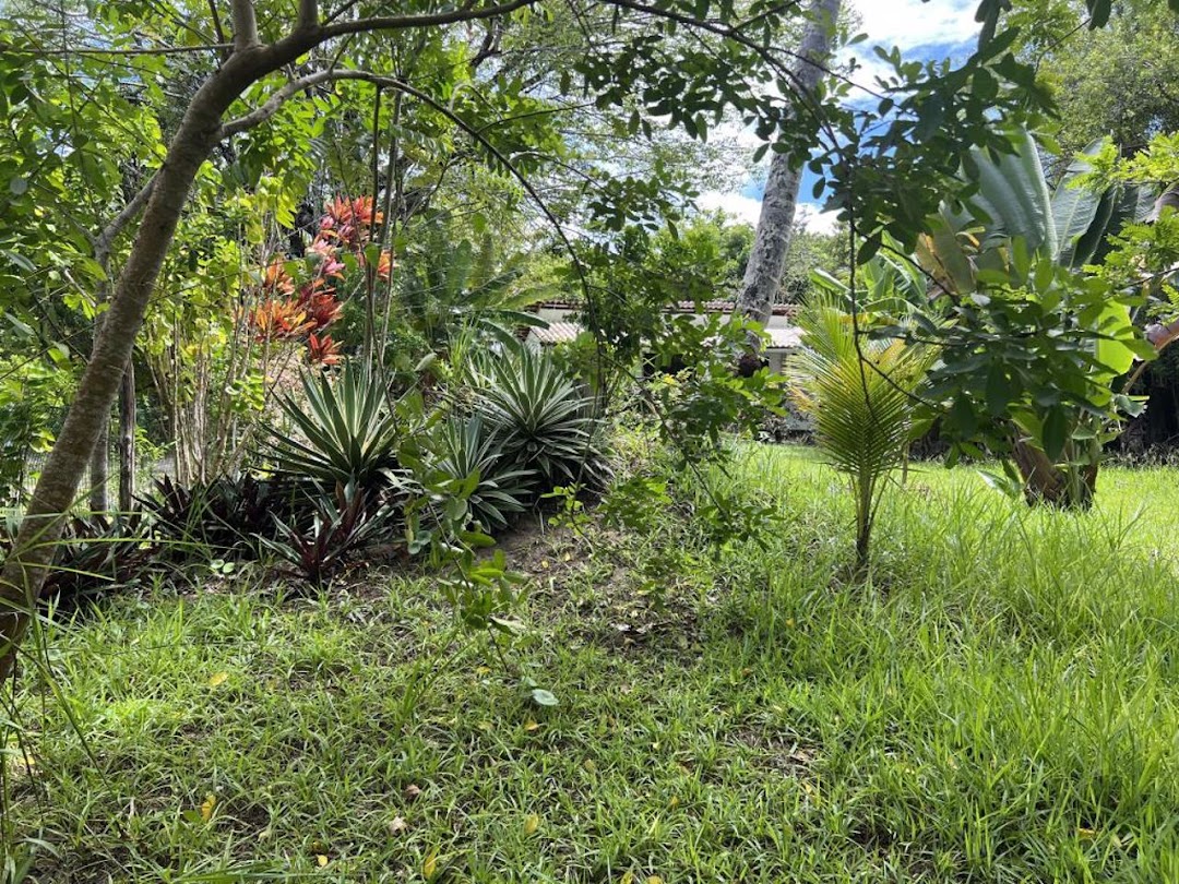 CKih3ergE8vCoP5qXr77Pr7UNxj99fJjKZHFjVecfUuYi5xDqi89qbXNr5M2dpt25pfTh1DJGlSUx7CnO8usmUtmNXSTudPbD4eXj78BkyuHCA=w1080-h1920